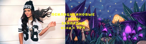 PSILOCYBIN Балахна