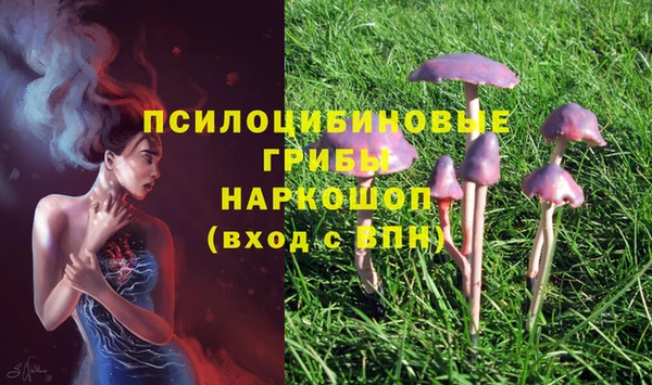 сатива Балабаново