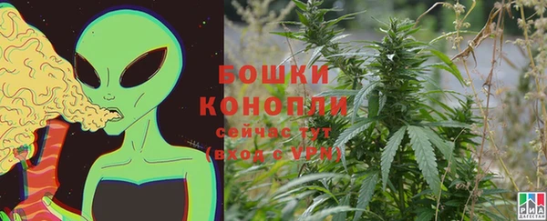 PSILOCYBIN Балахна