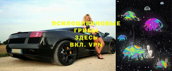 стаф Баксан