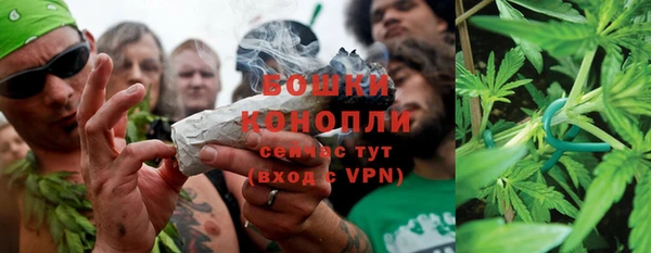 PSILOCYBIN Балахна
