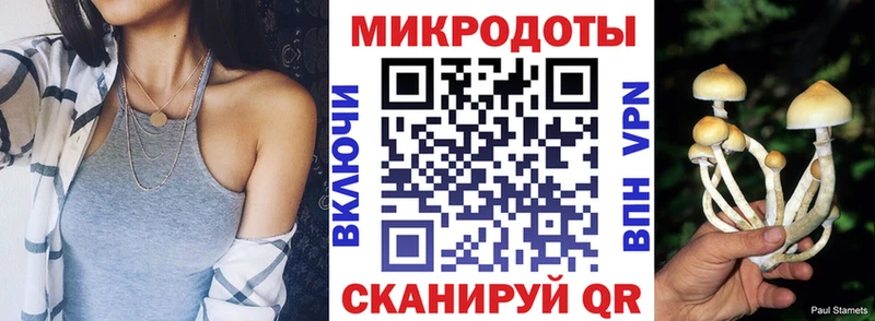 Псилоцибиновые грибы Psilocybe наркота Беломорск